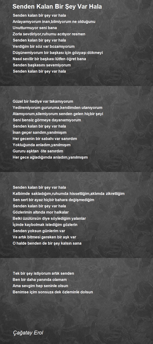 Çağatay Erol