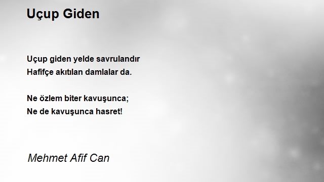 Mehmet Afif Can
