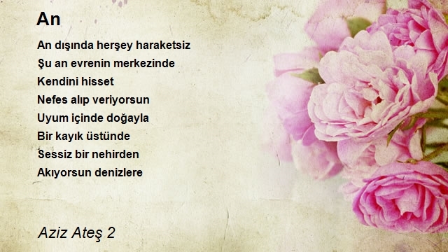 Aziz Ateş 2