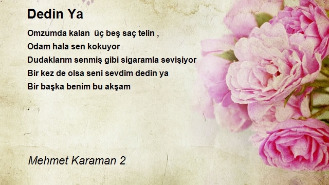 Mehmet Karaman 2