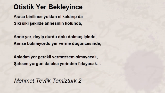Mehmet Tevfik Temiztürk 2