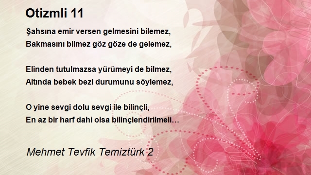 Mehmet Tevfik Temiztürk 2