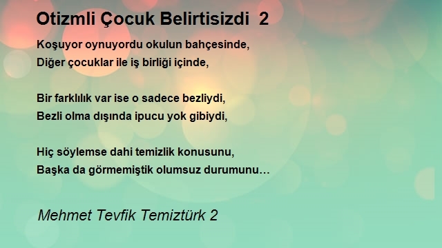 Mehmet Tevfik Temiztürk 2