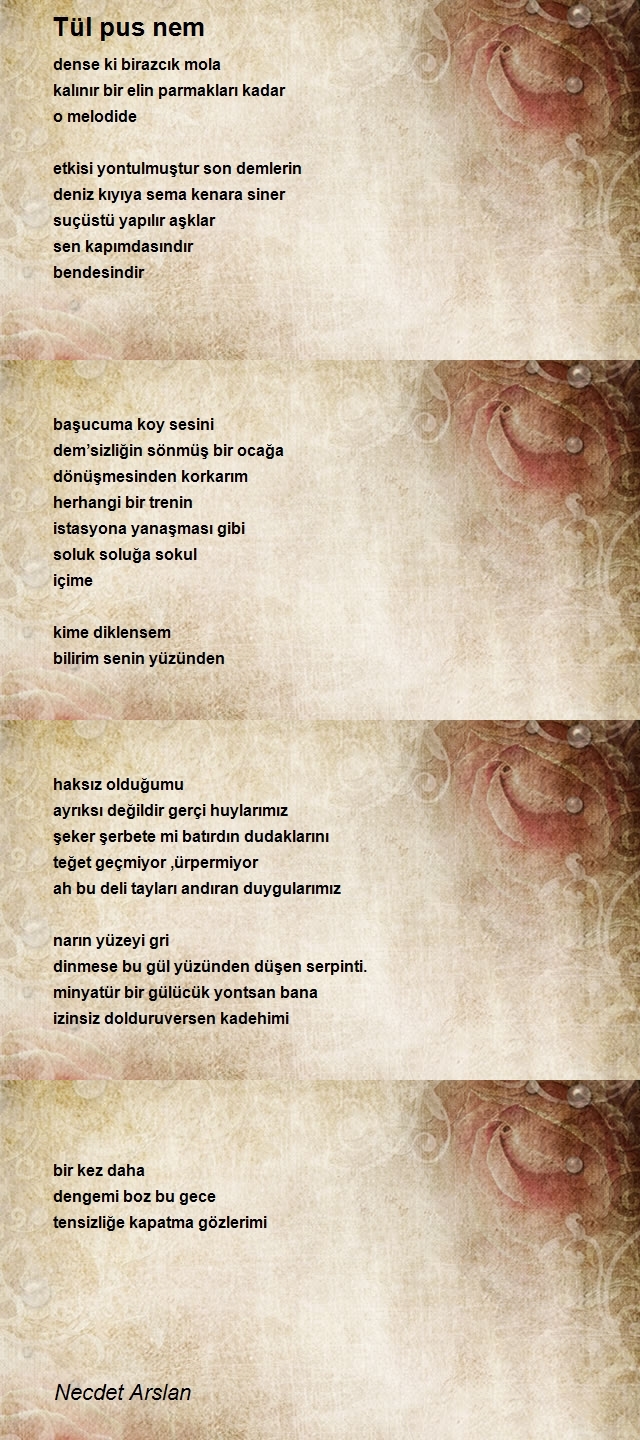 Necdet Arslan