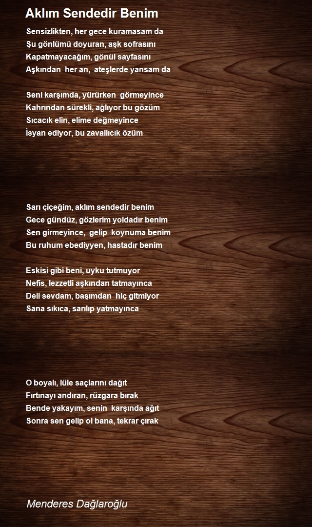 Menderes Dağlaroğlu