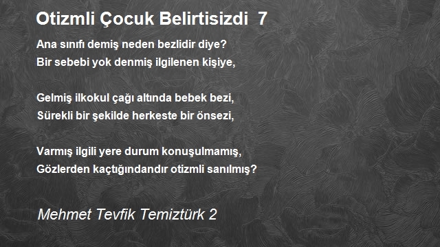 Mehmet Tevfik Temiztürk 2