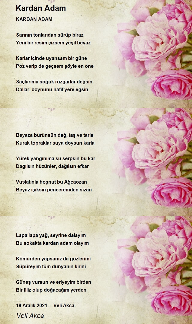Veli Akca