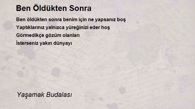 Yaşamak Budalasi 2