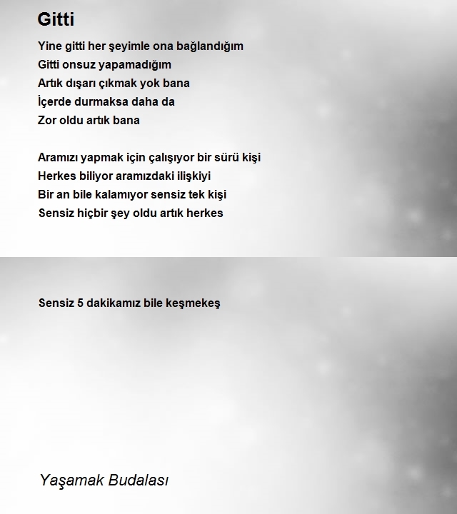 Yaşamak Budalasi 2