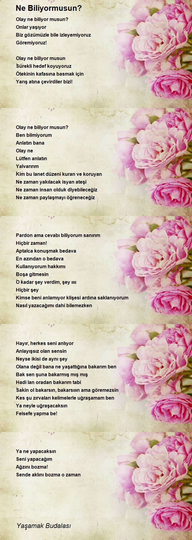 Yaşamak Budalasi 2