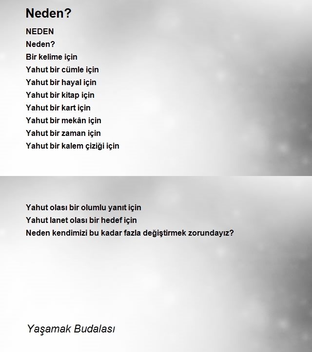 Yaşamak Budalasi 2