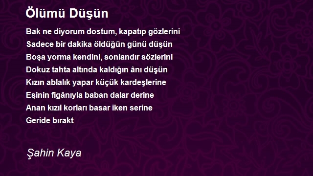 Şahin Kaya