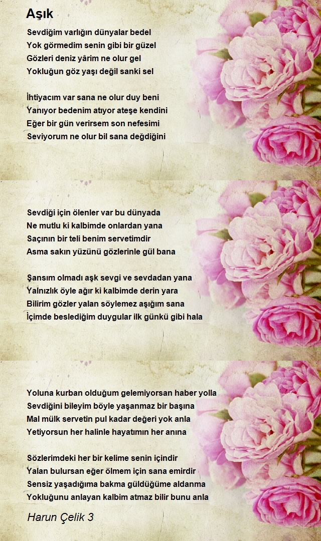 Harun Çelik 3
