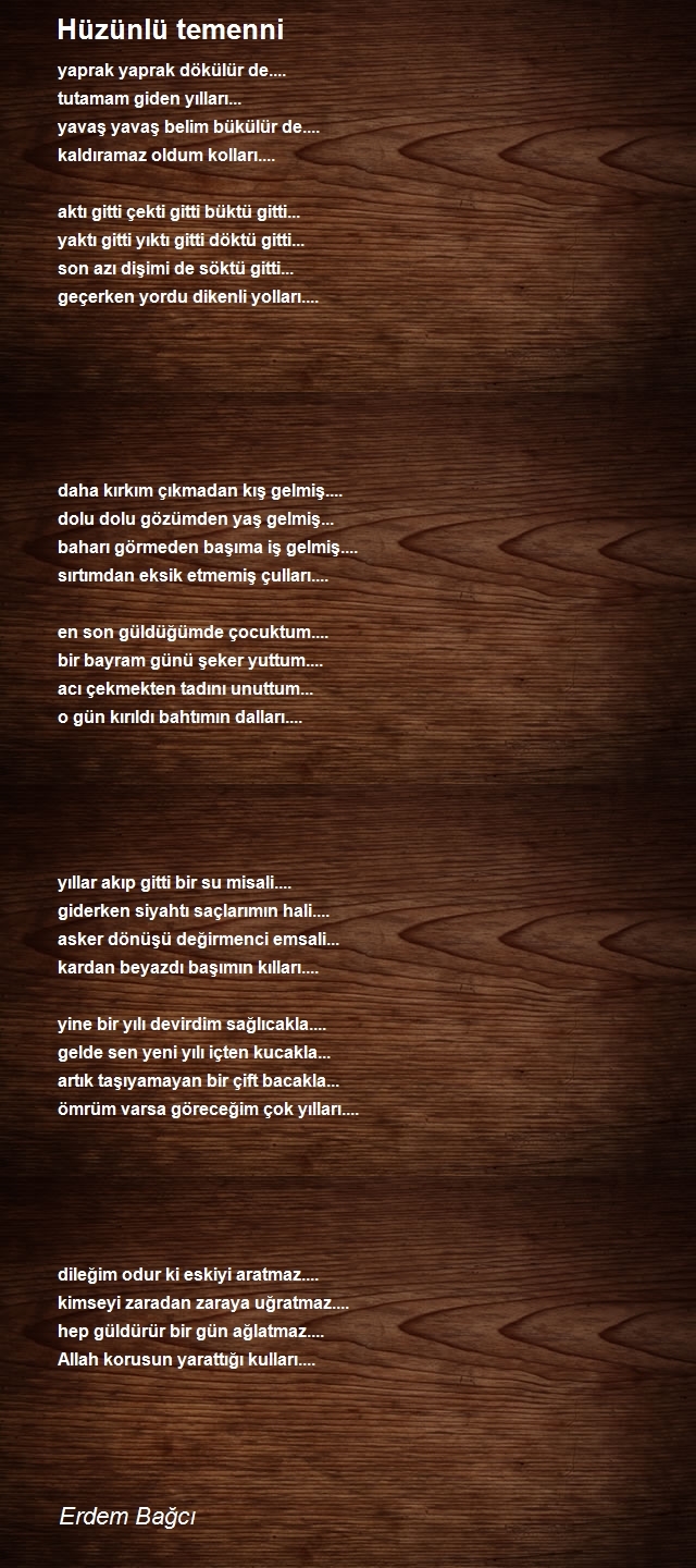 Erdem Bağcı
