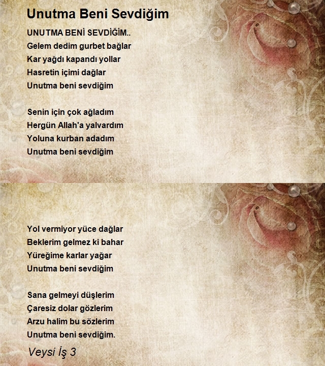 Veysi İş 3
