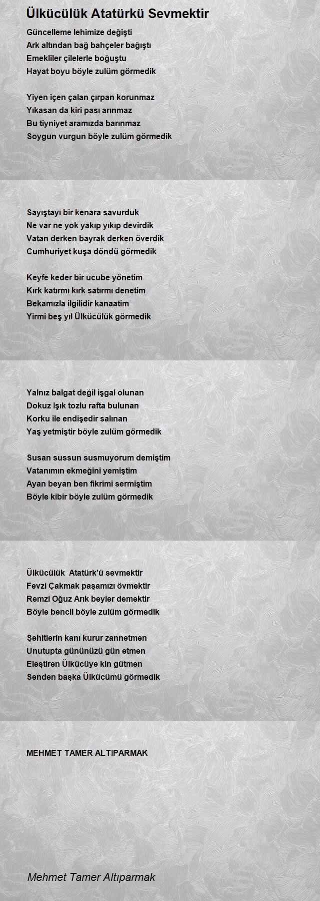 Mehmet Tamer Altıparmak