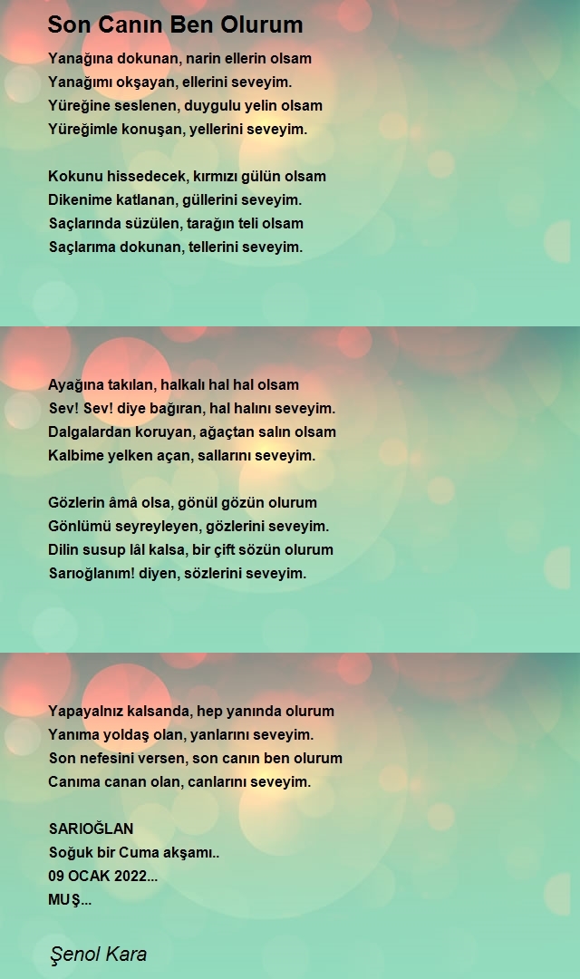 Şenol Kara