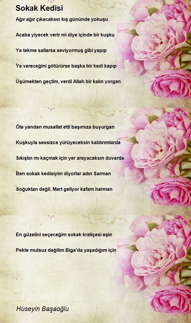 Hüseyin Başaoğlu