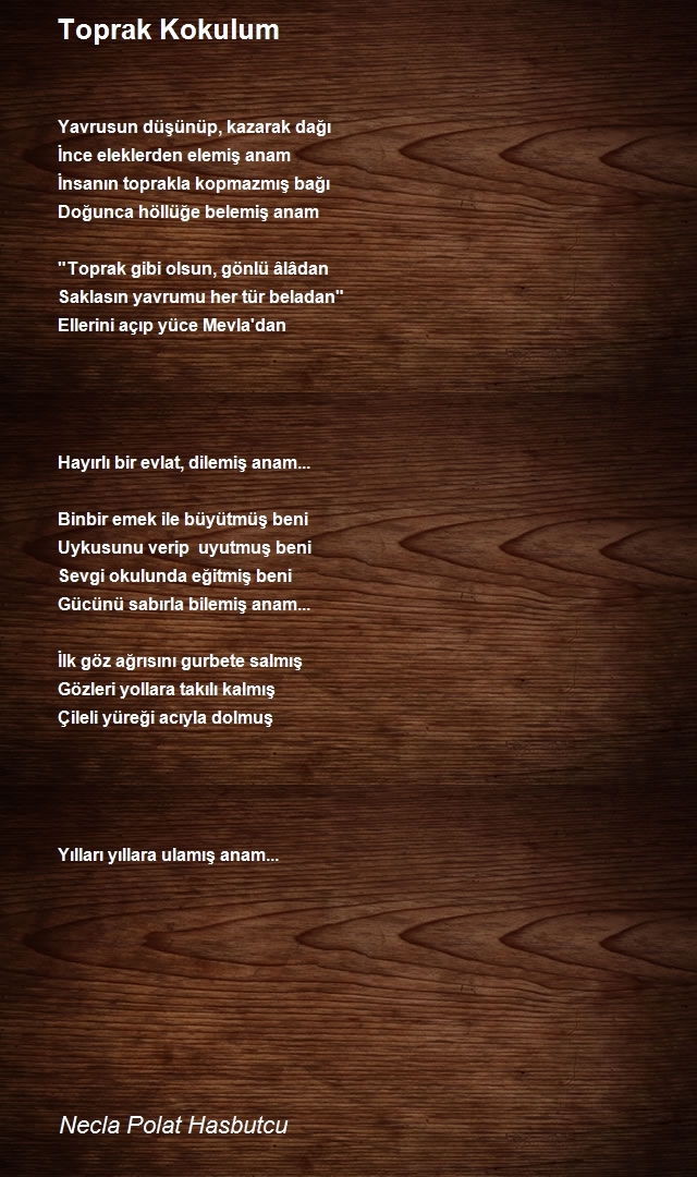 Necla Polat Hasbutcu