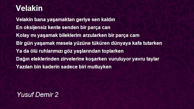 Yusuf Demir 2