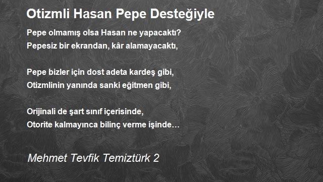 Mehmet Tevfik Temiztürk 2