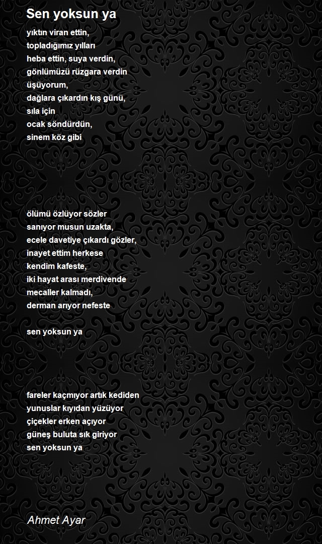 Ahmet Ayar