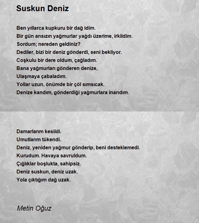 Metin Oğuz