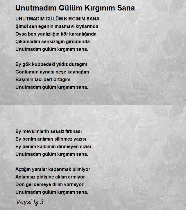 Veysi İş 3
