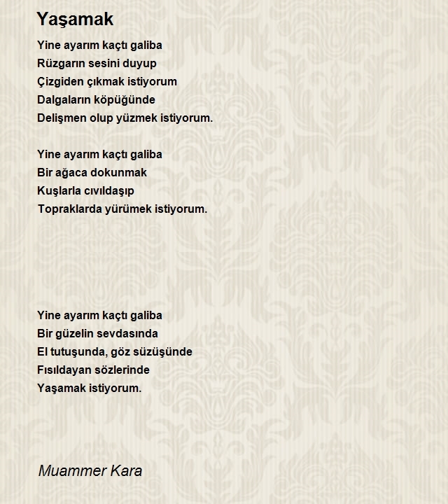 Muammer Kara