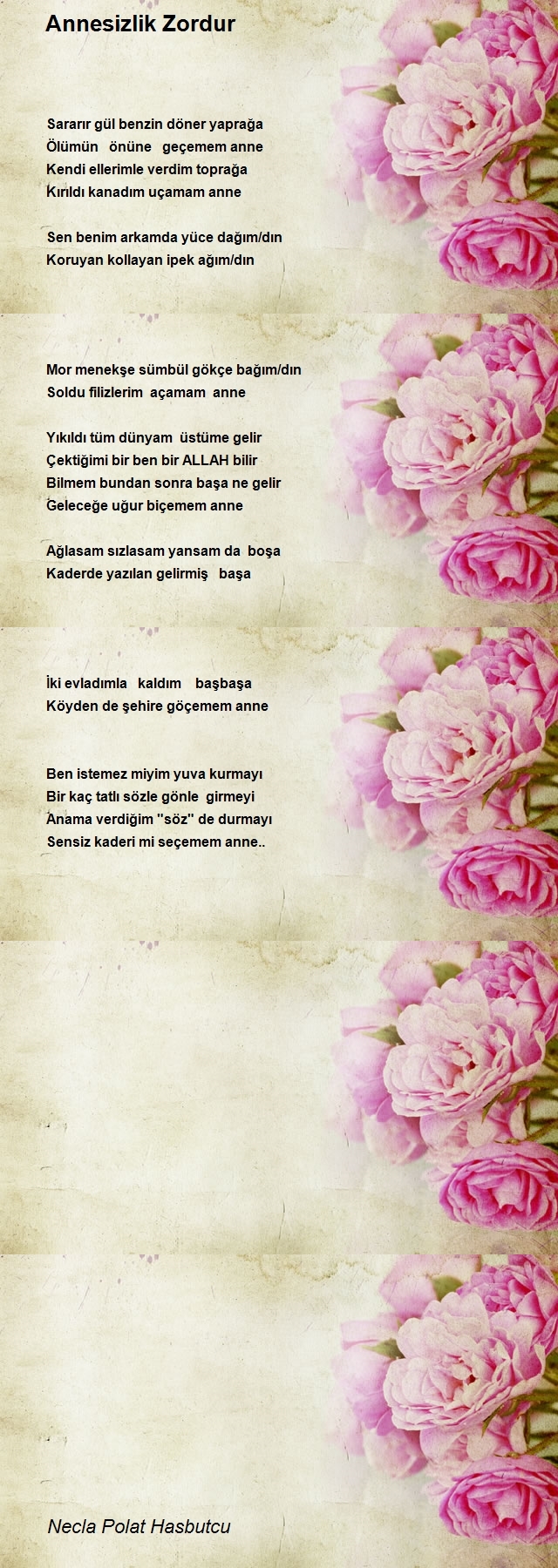 Necla Polat Hasbutcu