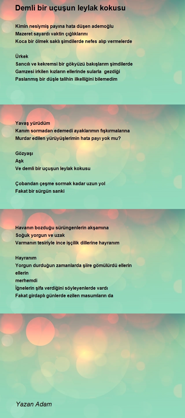 Zarif Oğlu