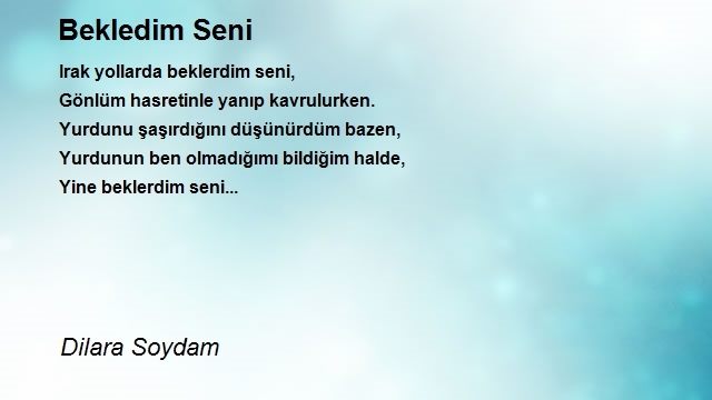 Dilara Soydam