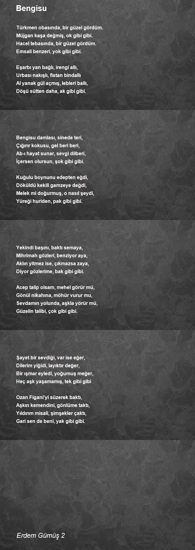 Erdem Gümüş 2