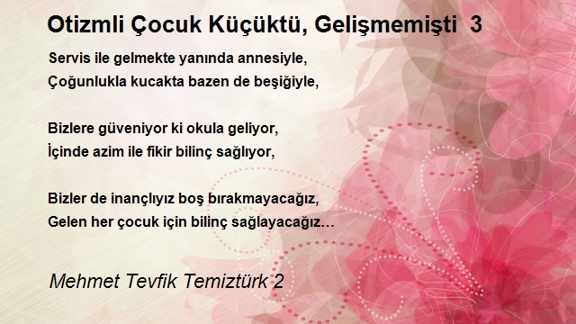 Mehmet Tevfik Temiztürk 2