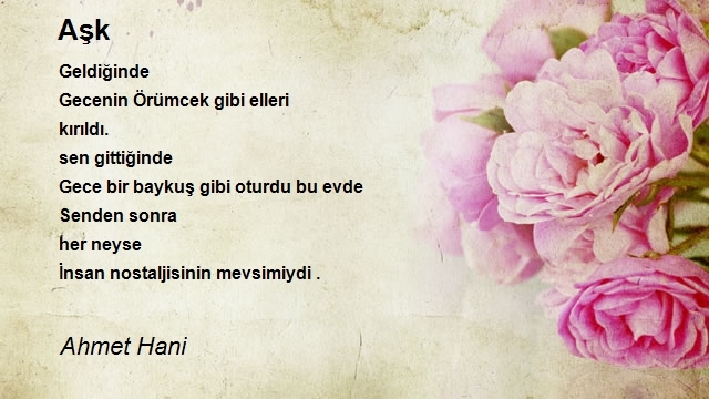 Ahmet Hani