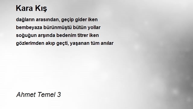 Ahmet Temel 3