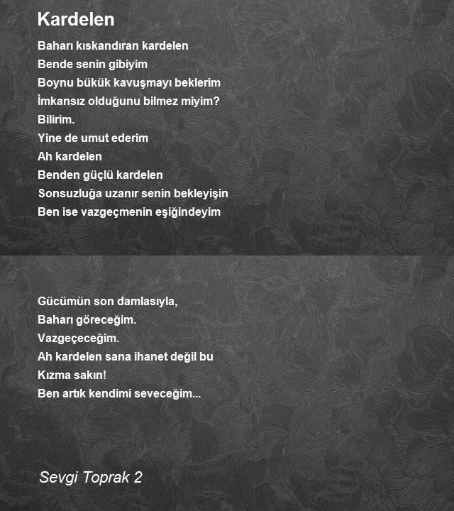 Sevgi Toprak 2