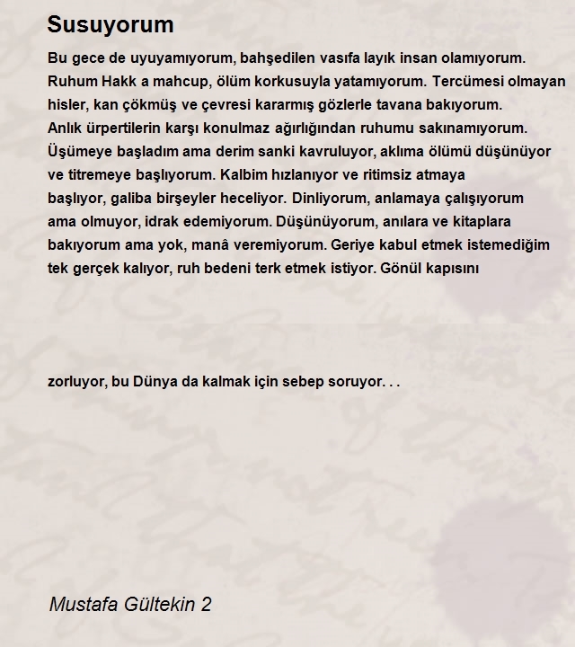 Mustafa Gültekin 2