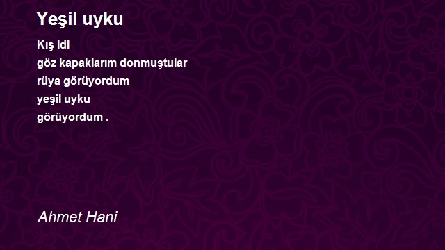 Ahmet Hani
