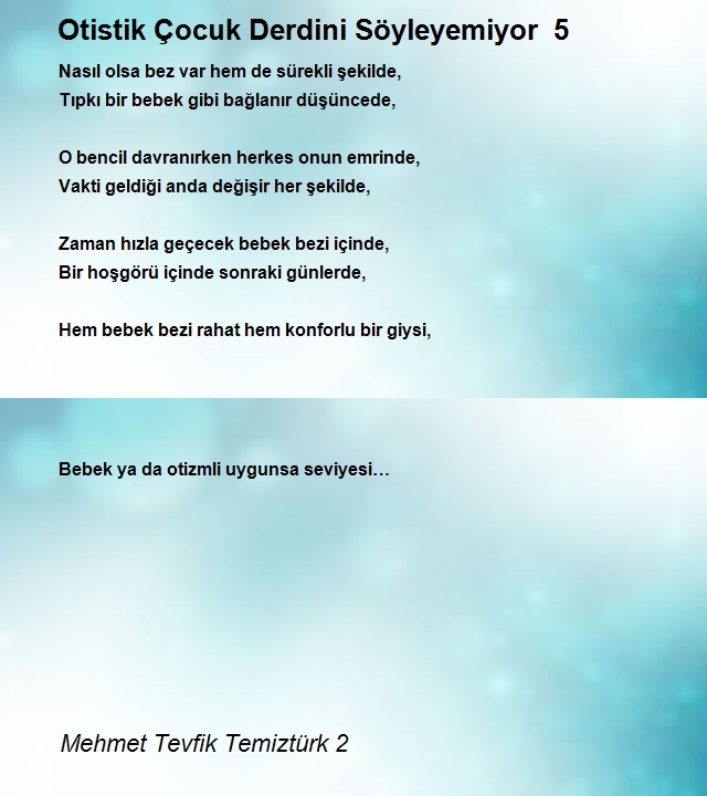 Mehmet Tevfik Temiztürk 2