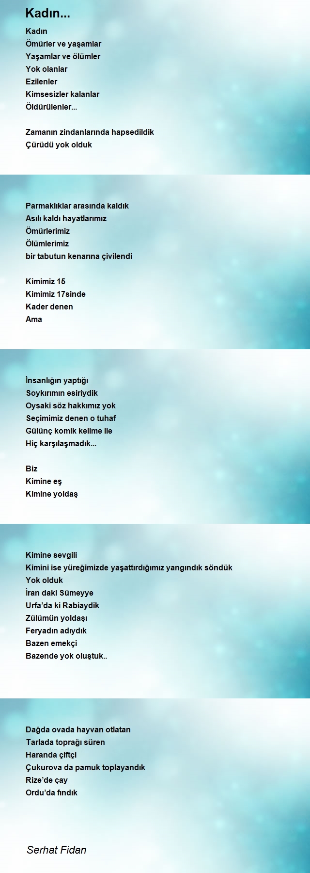 Serhat Fidan