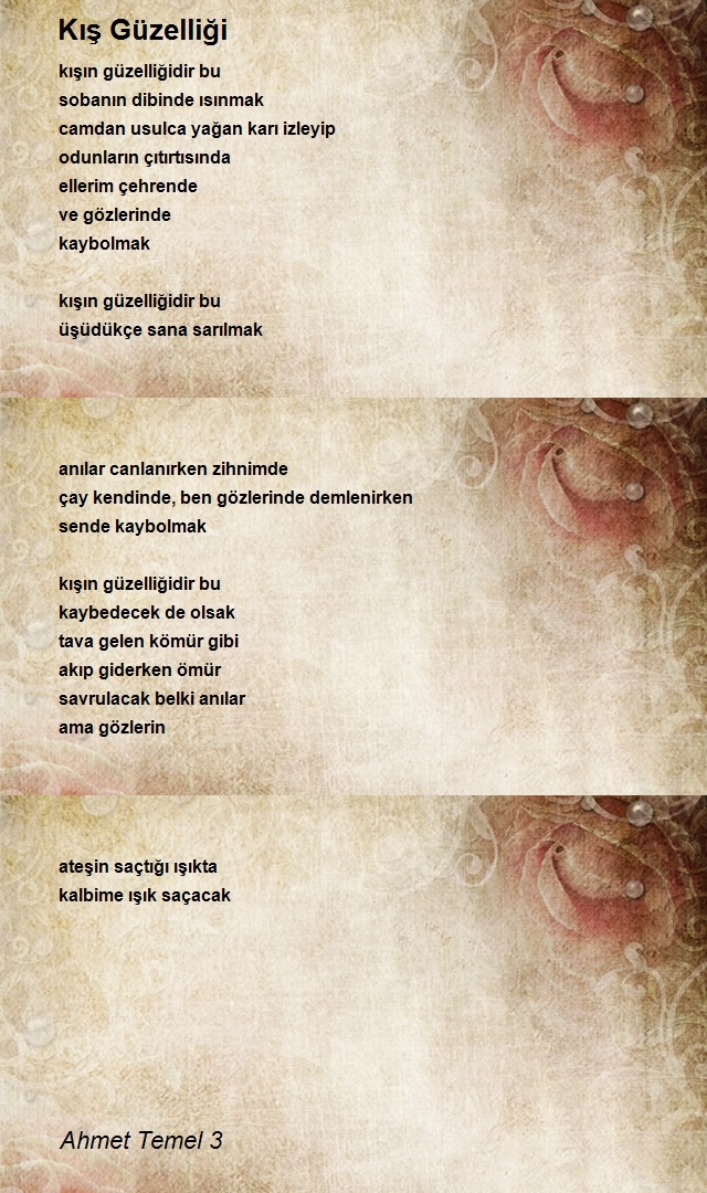 Ahmet Temel 3