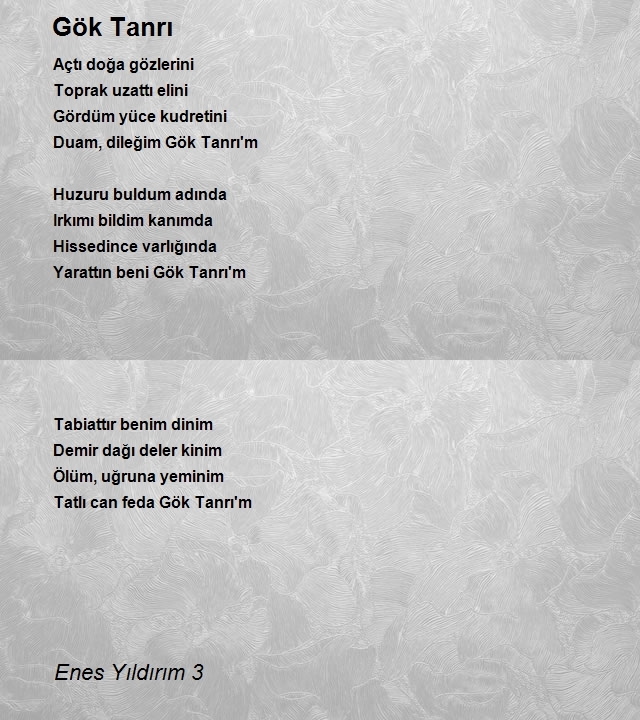Enes Yıldırım 3