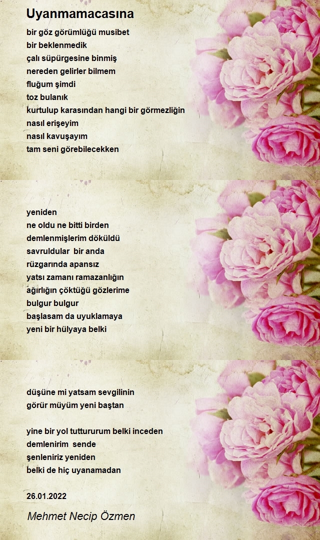 Mehmet Necip Özmen