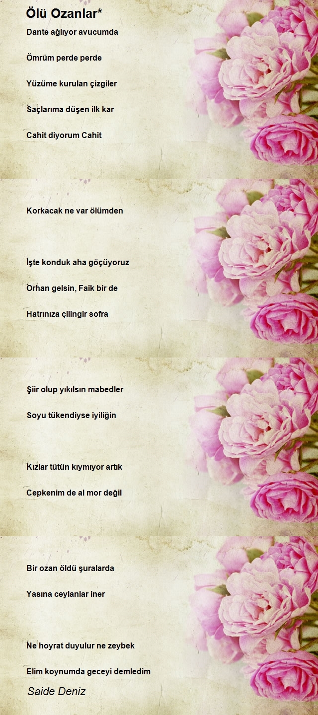 Saide Deniz