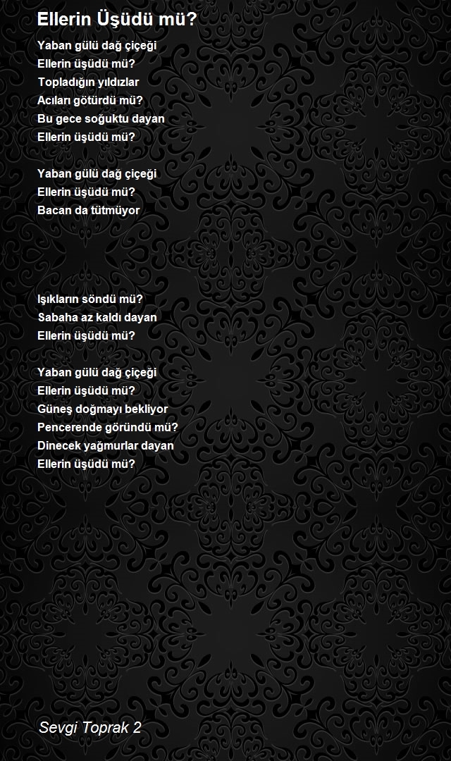 Sevgi Toprak 2