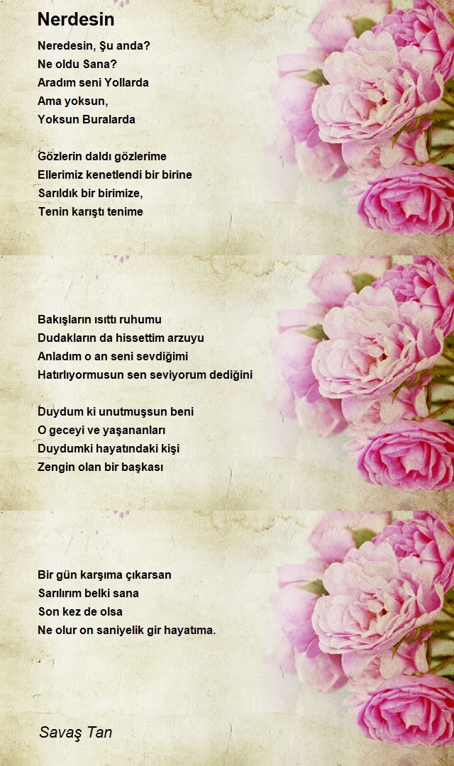 Savaş Tayfun