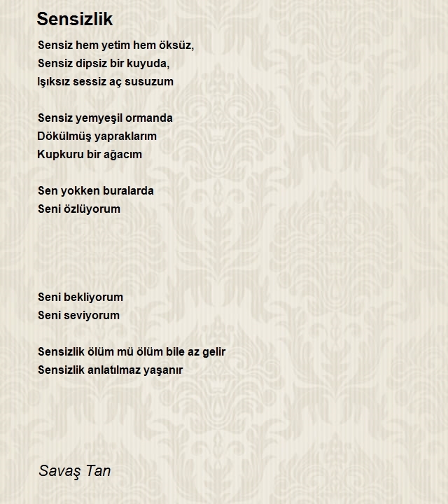 Savaş Tayfun