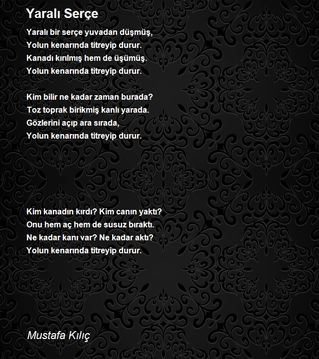 Mustafa Kılıç