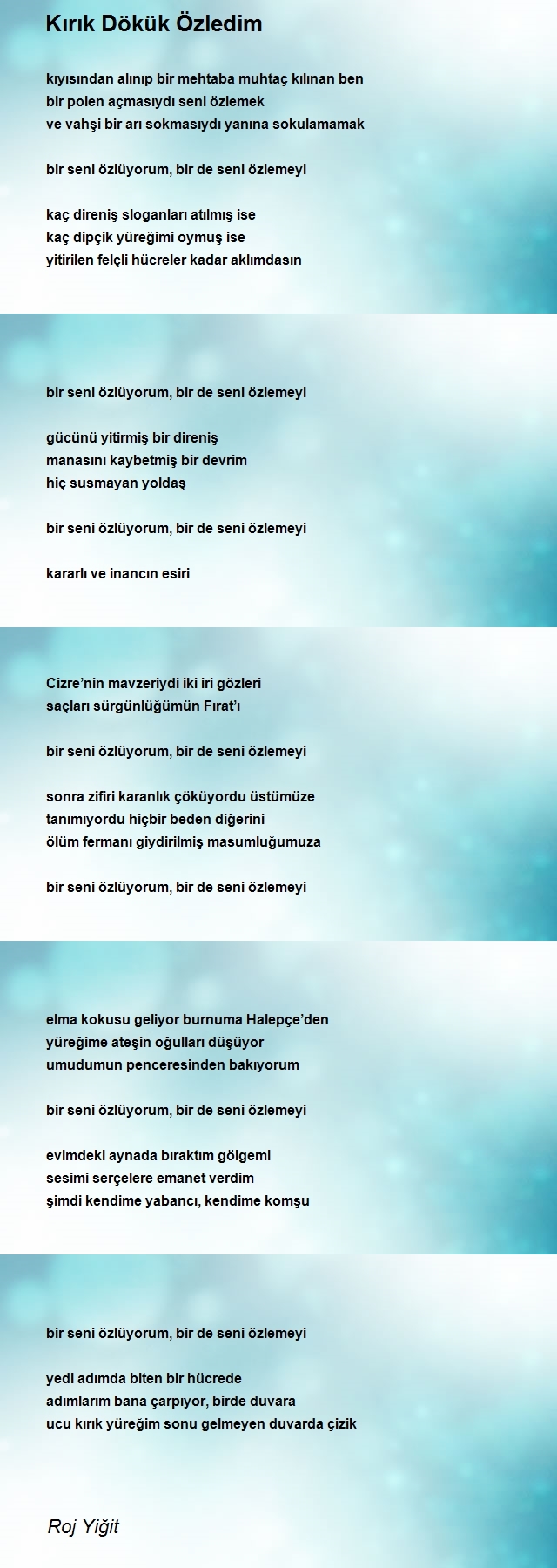 Roj Yiğit